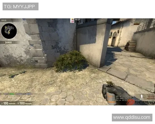 深入分析EDG在CSGO比赛中的战术运用与技术优势探讨