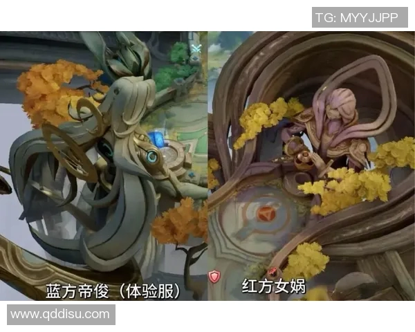 张强深度解析王者荣耀游戏技巧与策略分享，助你快速提升段位与游戏体验